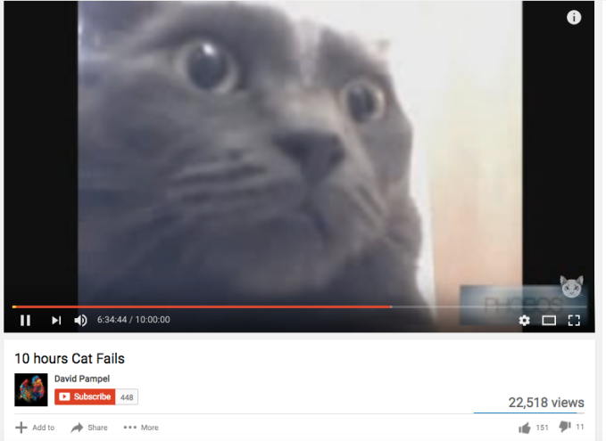 Cat video larsoned